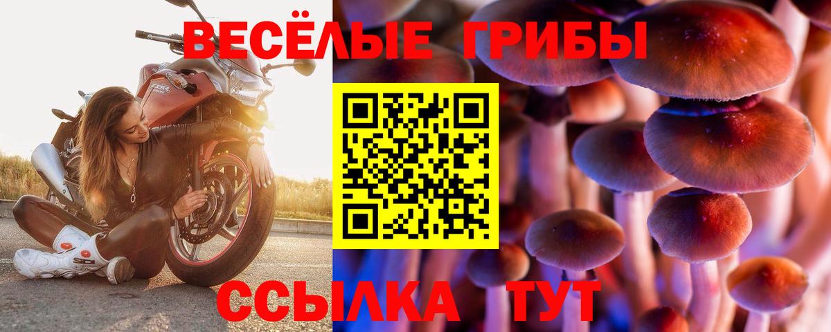 Шебекино  где можно купить   Псилоцибиновые грибы мухоморы  Вход с VPN  Псилоцибиновые грибы Psilocybe 